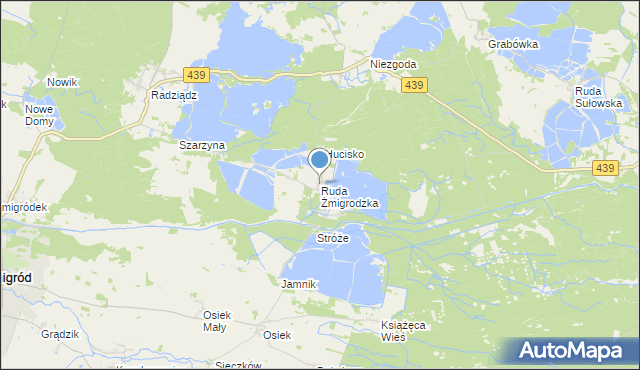 mapa Ruda Żmigrodzka, Ruda Żmigrodzka na mapie Targeo